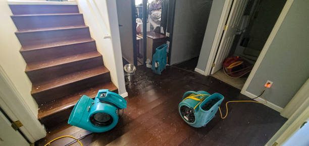 Best Flood damage cleanup  in Goldendale, WA