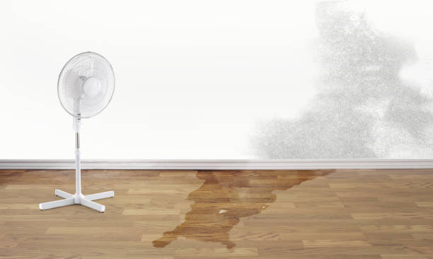 Best Carpet water damage restoration  in Goldendale, WA