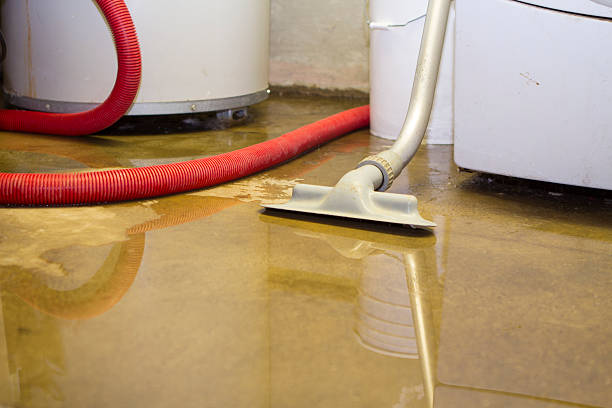 Best Flood restoration services  in Goldendale, WA